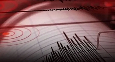 Denizli'de korkutan deprem! Çevre illerden de hissedildi