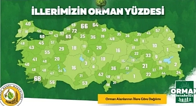 TÜRKİYE’MİZİN NEFESİ ORMANLARIMIZ VE YEŞİL VATANIMIZ