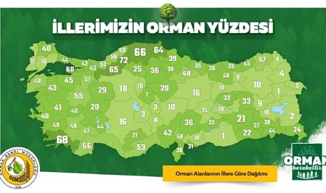 TÜRKİYE’MİZİN NEFESİ ORMANLARIMIZ VE YEŞİL VATANIMIZ
