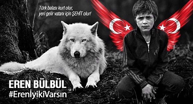MHP, Eren Bülbül'ü şehadetinin yıl dönümünde andı: Türk balası kurt olur, yeri gelir vatanı için Şehit olur!